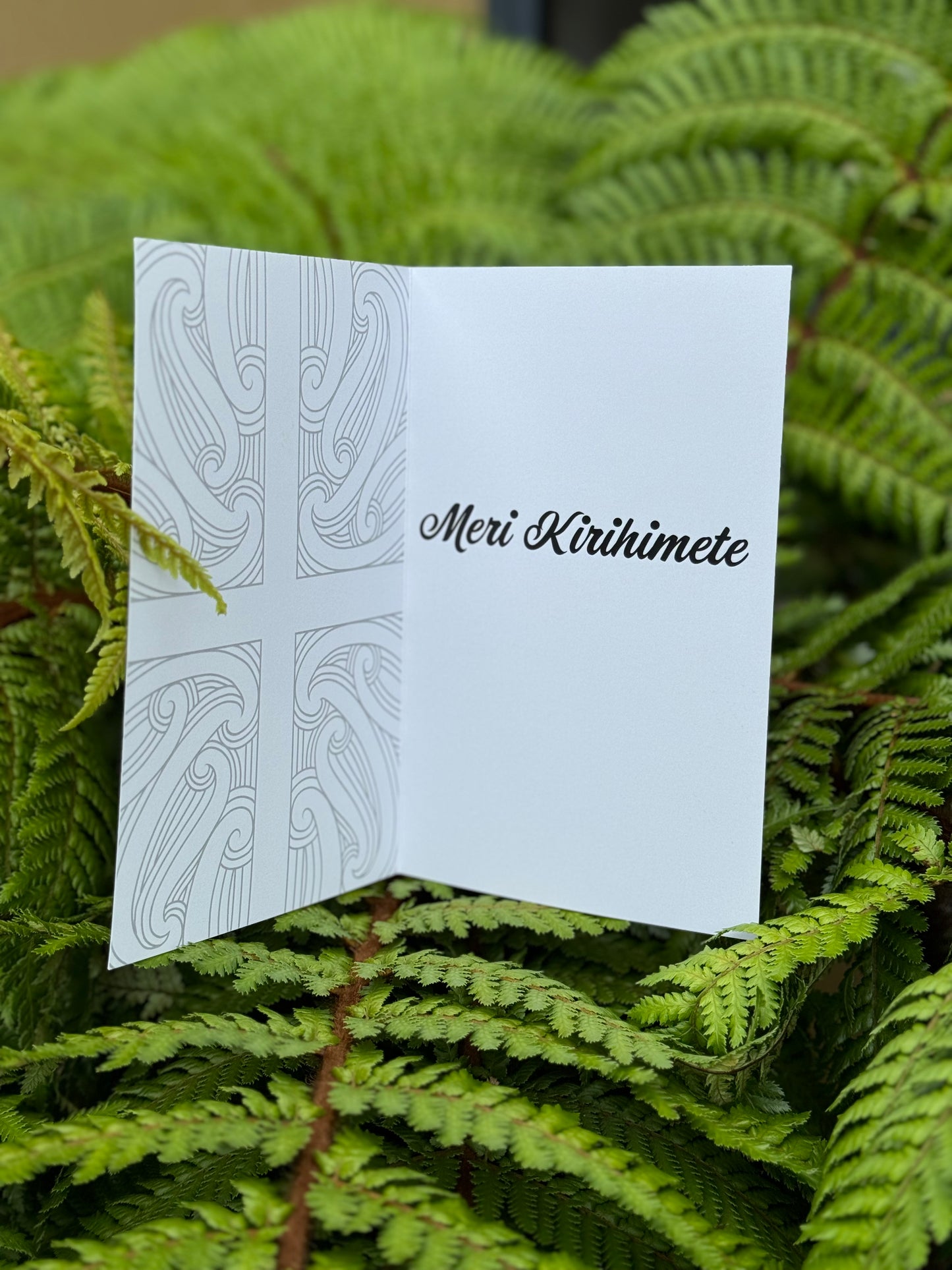 Meri Kirihimete Tūī Card | Christmas Card Collection