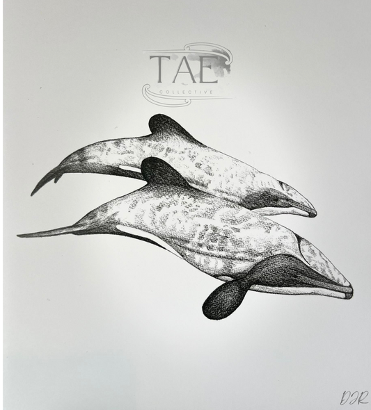 Māui Dolphin Precious Moments | Māui Dolphin Art Print Collection