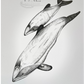 Māui Dolphin Mother and Calf Print | Māui Dolphin Art Print Collection