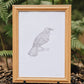 Tūī Bird | Manu (Bird) Art Print Collection