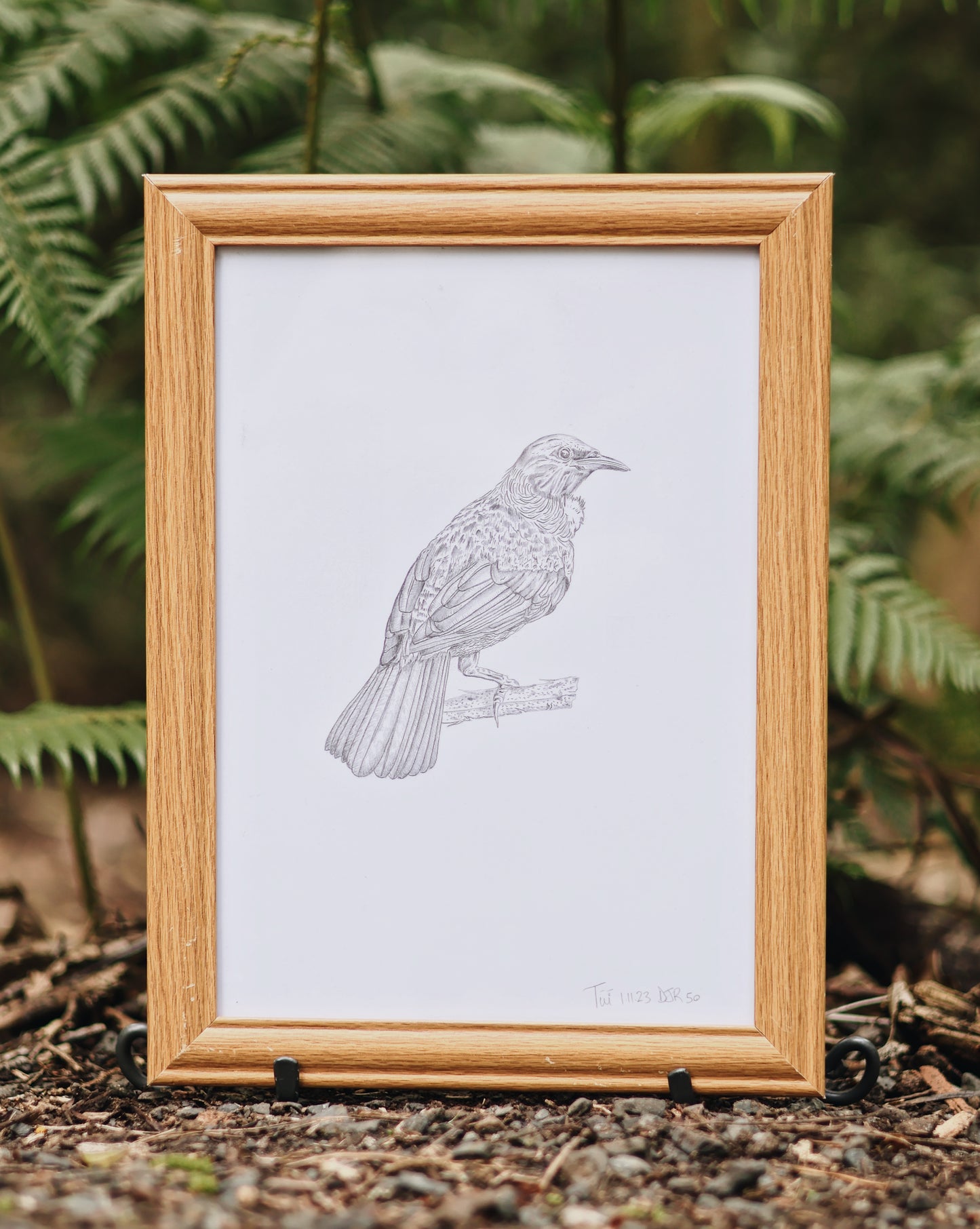 Tūī Bird | Manu (Bird) Art Print Collection