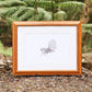 Pīwaiwaka (Fantail) Bird | Manu (Bird) Art Print Collection