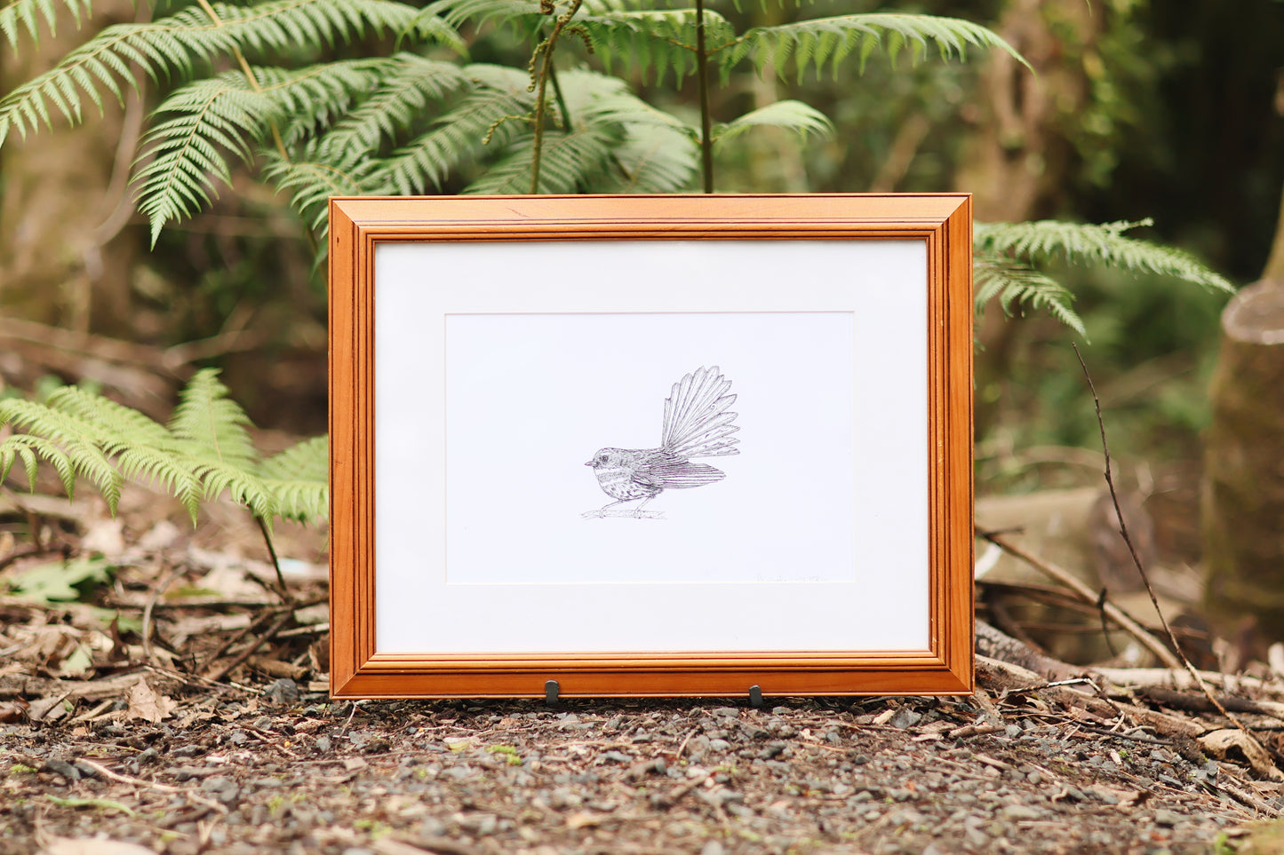 Pīwaiwaka (Fantail) Bird | Manu (Bird) Art Print Collection