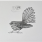 Pīwaiwaka (Fantail) Bird | Manu (Bird) Art Print Collection