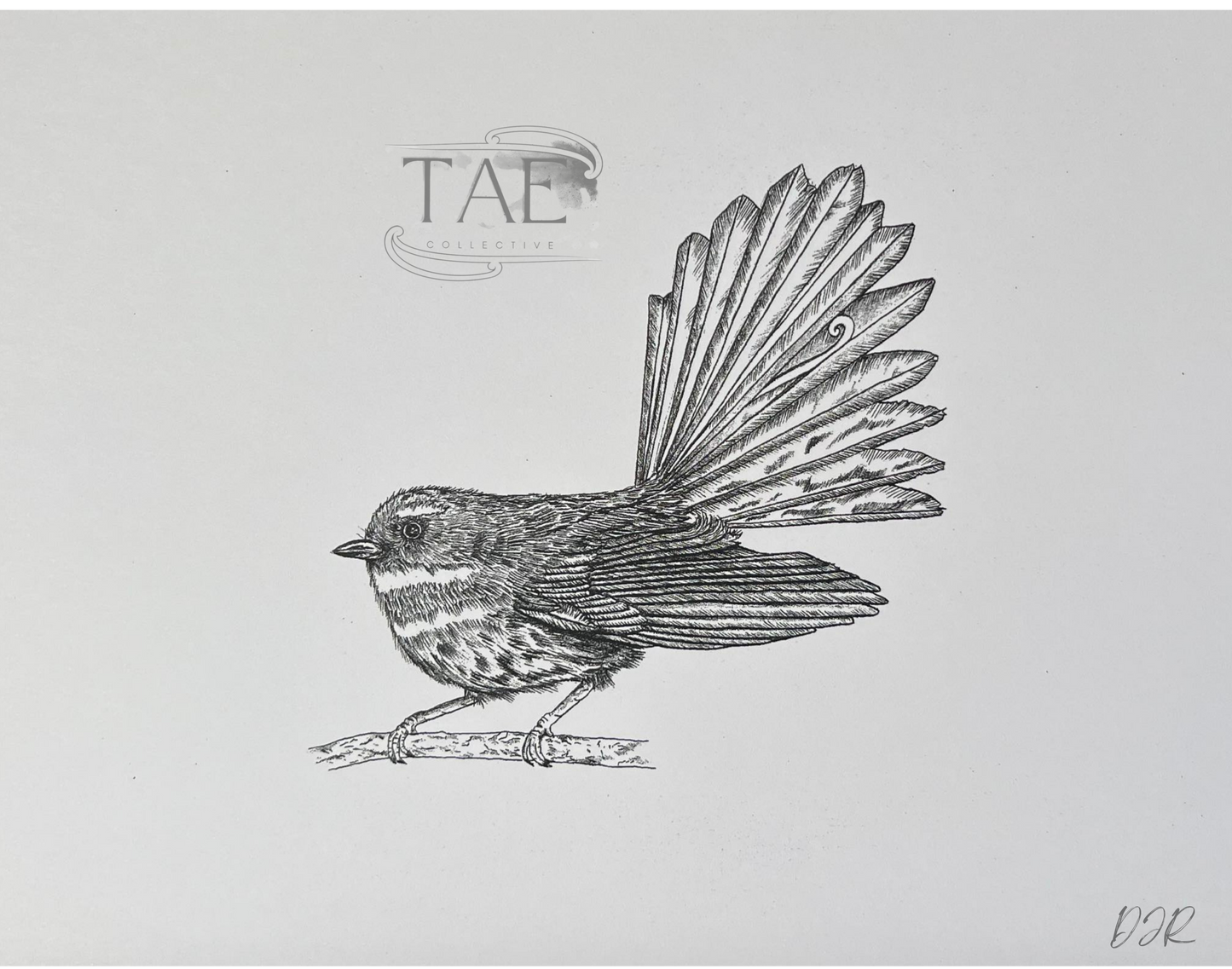 Pīwaiwaka (Fantail) Bird | Manu (Bird) Art Print Collection