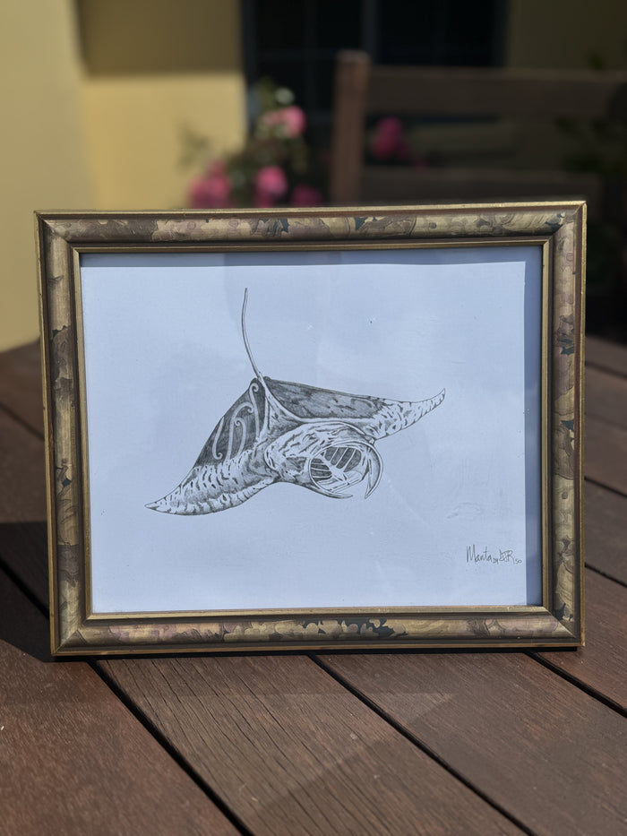 The Manta print