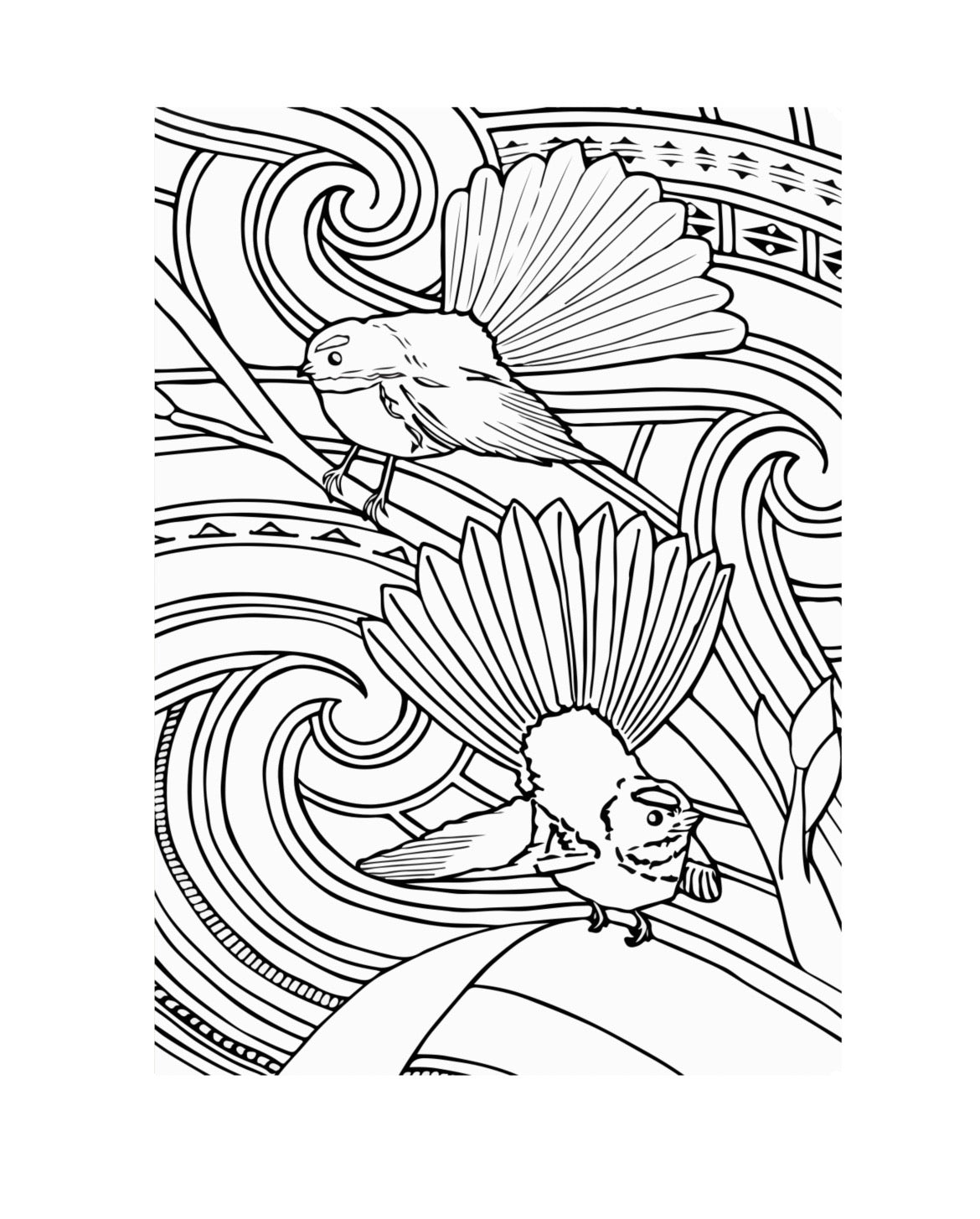 Ngā Tae O Ngā  Manu (Colours of the birds) | Children's Colouring Book