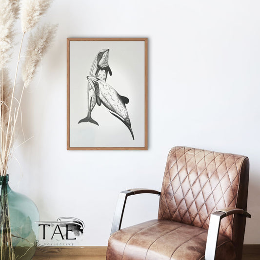 Māui Dolphin at Play | Māui Dolphin Art Print Collection