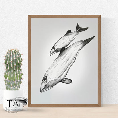 Māui Dolphin Mother and Calf Print | Māui Dolphin Art Print Collection