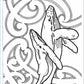 Moana Colouring bundle | Tae Collective - Children's Colouring Book