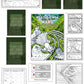 Manu (Bird) Colouring Bundle